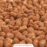 Amendoim Caramelizado